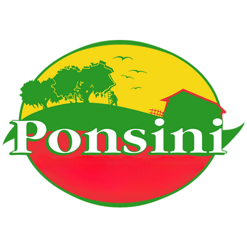 ponsini-olive