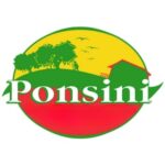 ponsini