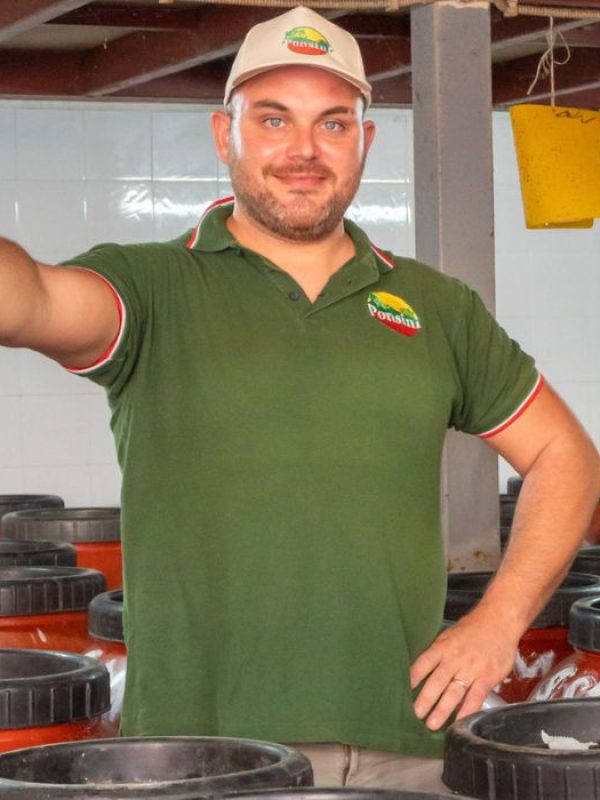 articolo sulle olive